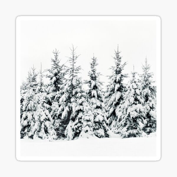 Item preview, Snow Porn // Misty Moody Foggy Milky Winter Wonderland Forest With Cascadia Trees Covered In Magic Fog designed and sold by Tordis Kayma.