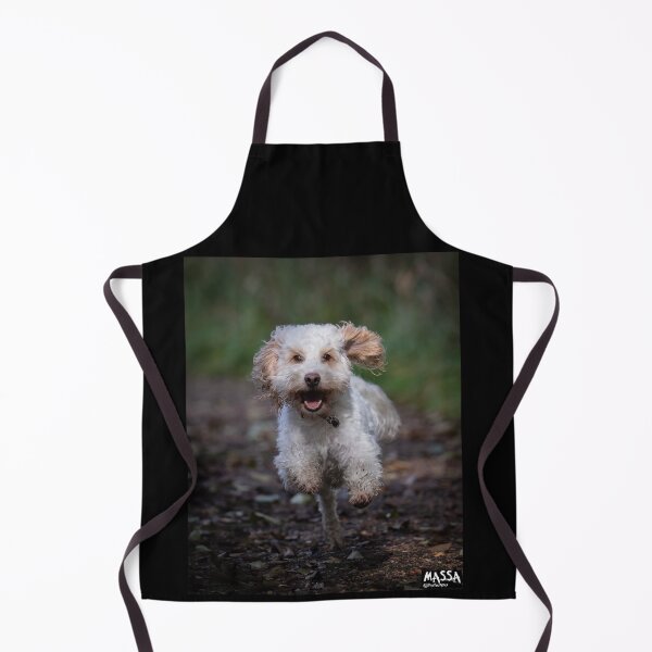 Item preview, Bertie the Cockerpoo enjoying himself! designed and sold by PhotographMassa.