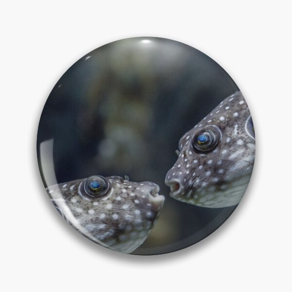 Item preview, White-Spotted Puffer Fish Kissing designed and sold by greg5000.