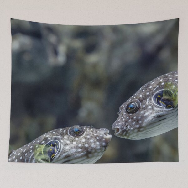 Item preview, White-Spotted Puffer Fish Kissing designed and sold by greg5000.