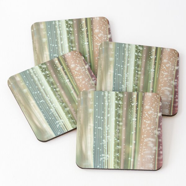 Item preview, Champán designed and sold by LibrosBOOKtique.