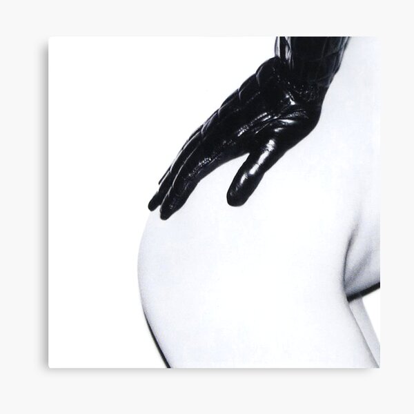 Is This It? Canvas Print