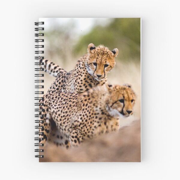 Item preview, Cheetah chase designed and sold by wazoosi.