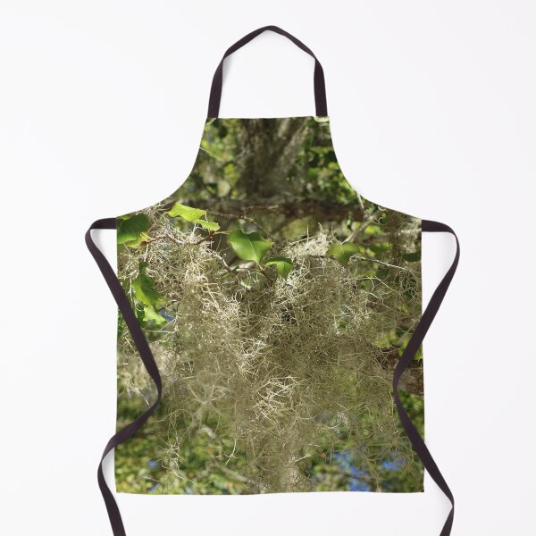 Item preview, Nature, North America, USA, Swamp, Plant, Photography, BebiCervin designed and sold by BebiCervin.