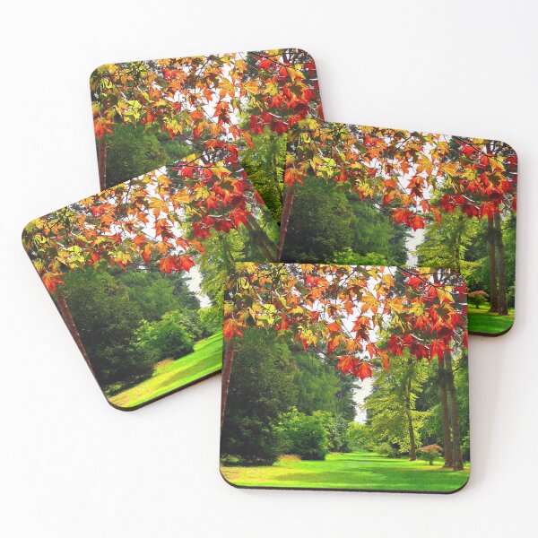 Item preview, Autumn Acer Tree Westonbirt Arboretum Cotswolds Gloucestershire designed and sold by AndyEvansPhotos.