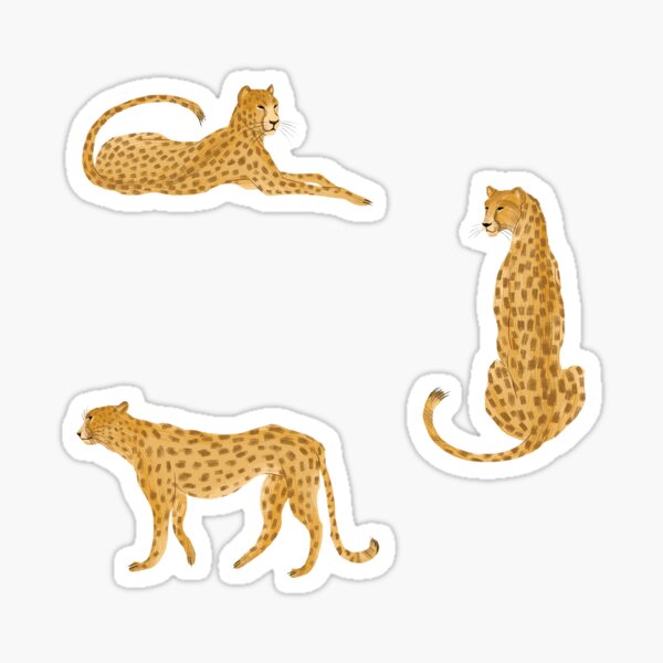 Snazzy Cheetahs Sticker