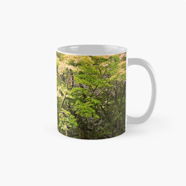 Item preview, Autumn Acer Tree Westonbirt Arboretum Cotswolds Gloucestershire designed and sold by AndyEvansPhotos.