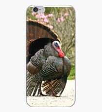 Wild Turkey iPhone Case