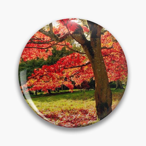 Item preview, Otoño Árbol Acer Westonbirt Arboretum Cotswolds Gloucestershire designed and sold by AndyEvansPhotos.