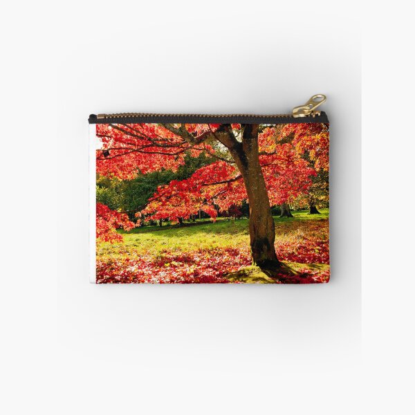 Item preview, Autumn Acer Tree Westonbirt Arboretum Cotswolds Gloucestershire designed and sold by AndyEvansPhotos.
