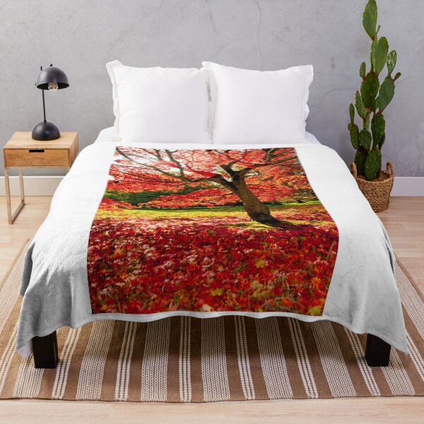 Item preview, Autumn Acer Tree Westonbirt Arboretum Cotswolds Gloucestershire designed and sold by AndyEvansPhotos.