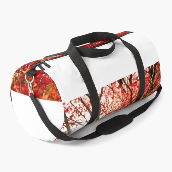 Item preview, Autumn Acer Tree Westonbirt Arboretum Cotswolds Gloucestershire designed and sold by AndyEvansPhotos.