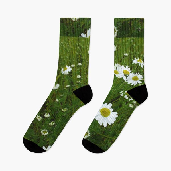 Item preview, Daisies 1 designed and sold by MeyrellesMartin.