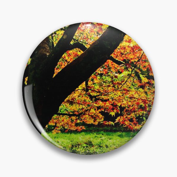 Item preview, Autumn Acer Tree Westonbirt Arboretum Cotswolds Gloucestershire designed and sold by AndyEvansPhotos.