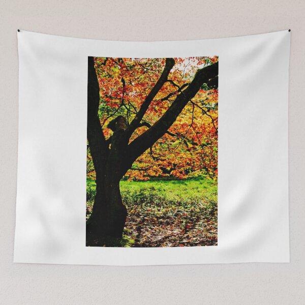 Item preview, Autumn Acer Tree Westonbirt Arboretum Cotswolds Gloucestershire designed and sold by AndyEvansPhotos.