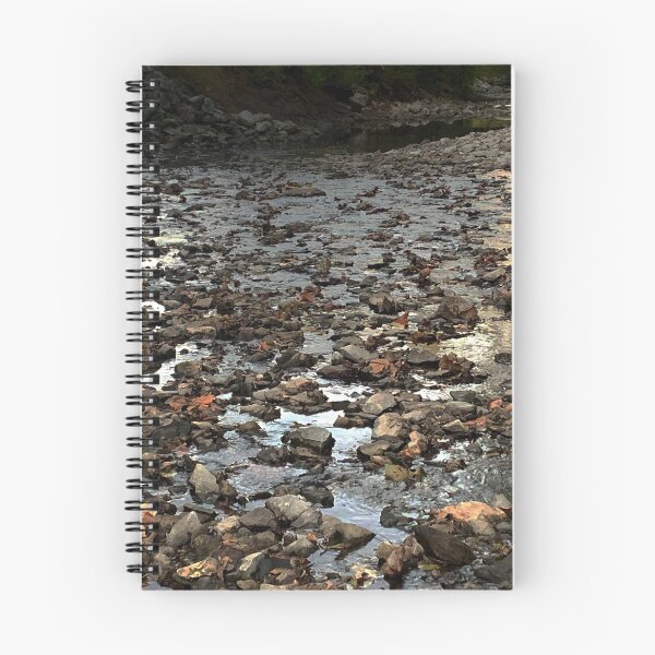 Item preview, Photo of River Rock with Bridge in Background - Tomahawk Creek Overland Park KS designed and sold by Zen  Goat.