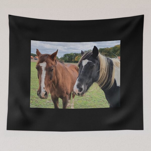 Item preview, Black and brown horses on a farm designed and sold by sword-snobby.