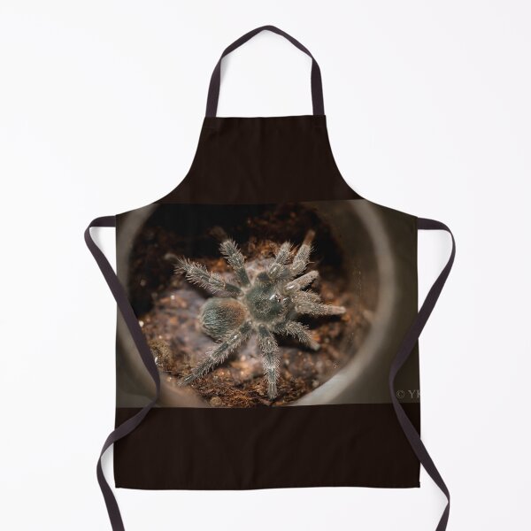 Item preview, Agnostopelma gardel designed and sold by Spidergirl.