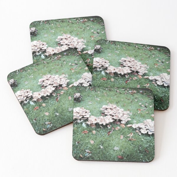 Item preview, Fabulous Fungi! Photo designed and sold by SamLH69.