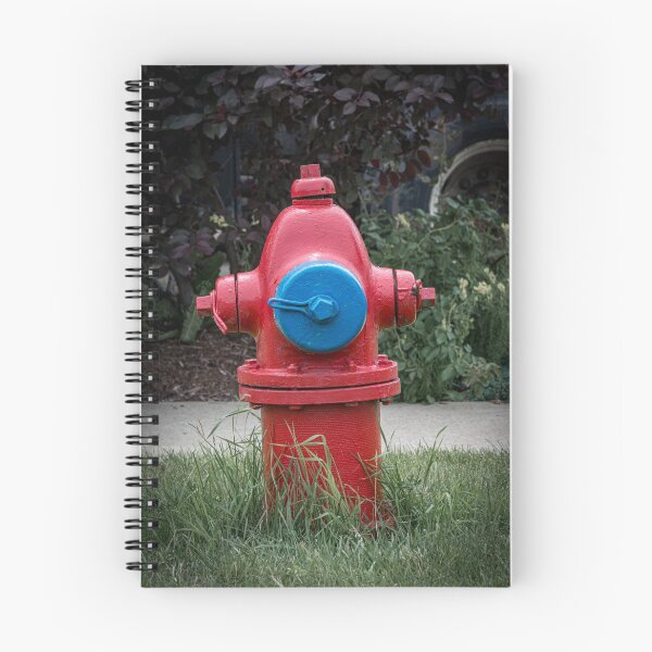 Item preview, Traverse City Iron Works Final Fire Hydrant designed and sold by Enzwell.