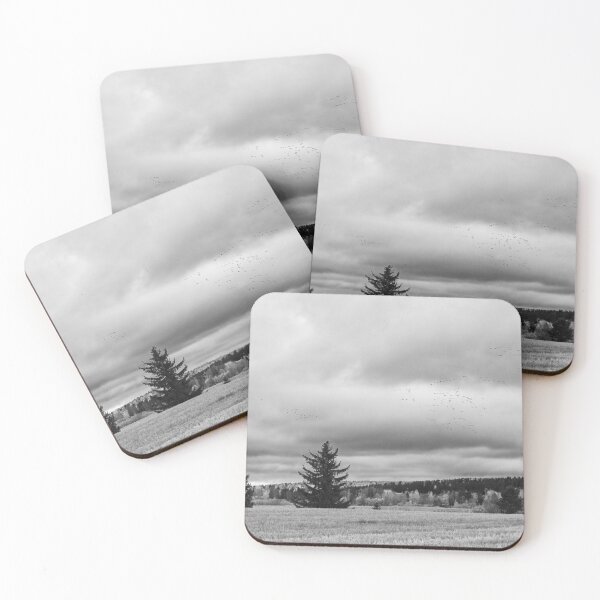 Item preview, Barnacle goose fieldscape bw designed and sold by Jouko Lehto Photography.