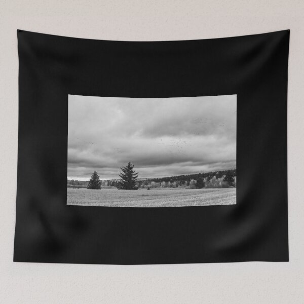 Item preview, Barnacle goose fieldscape bw designed and sold by Jouko Lehto Photography.