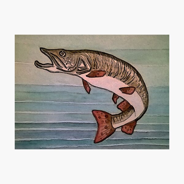 Item preview, Muskie designed and sold by L.