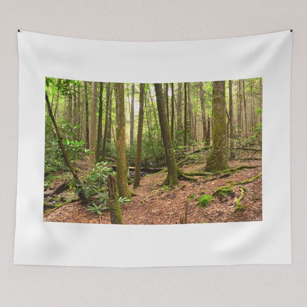 Item preview, Ravens Cliff Wilderness designed and sold by LisaWootenPhoto.