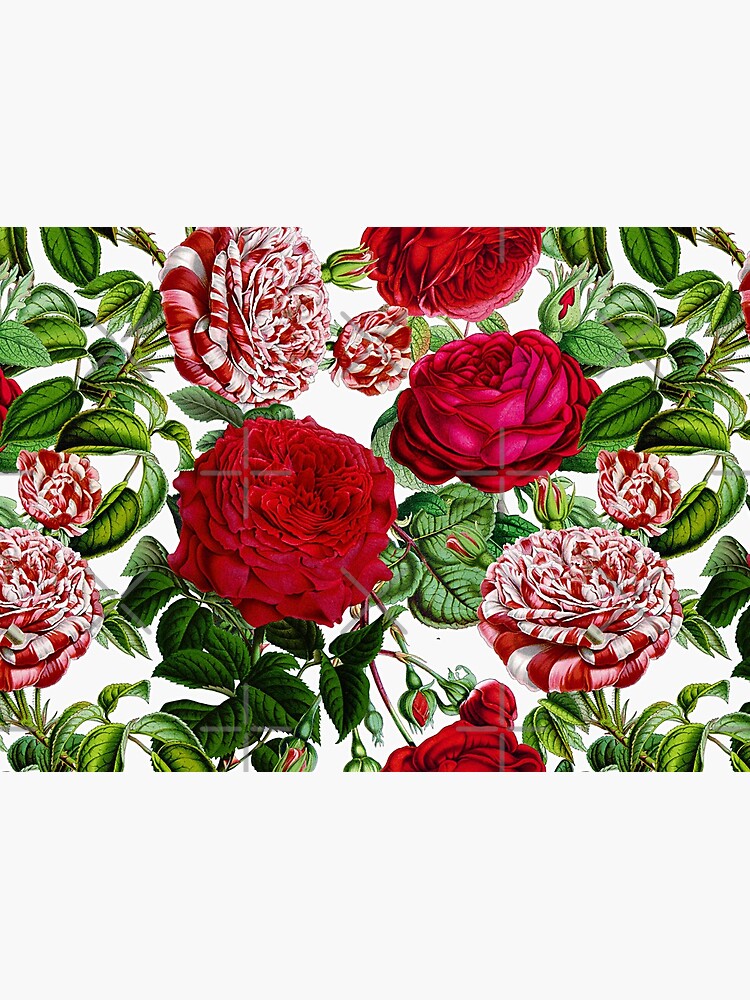 Summer Roses by UtArt