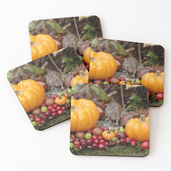Item preview, Autumn mouse  designed and sold by Simon-dell.