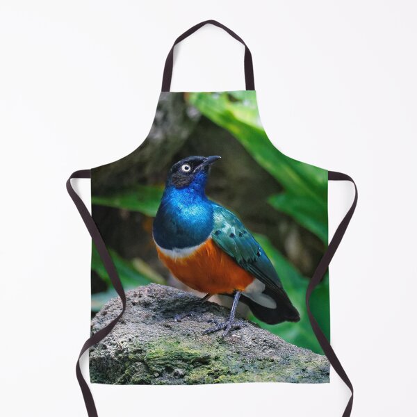 Item preview, A Dashing Figure in Blue, Green, and Russet: African Superb Starling designed and sold by walkswithnature.