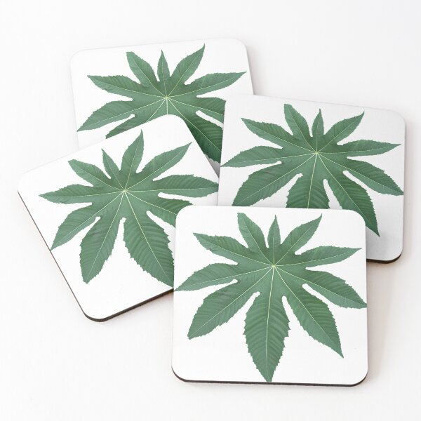 Item preview, castor leaf designed and sold by CSouissi.