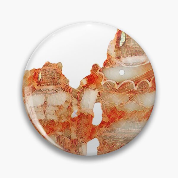 Onkwehonwe Sky Travelers: white background Pin