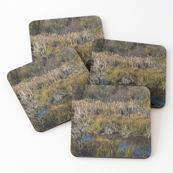 Item preview, Urban park in the fall designed and sold by CanadianWild418.