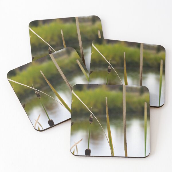 Item preview, Scenery at the pond. designed and sold by CanadianWild418.