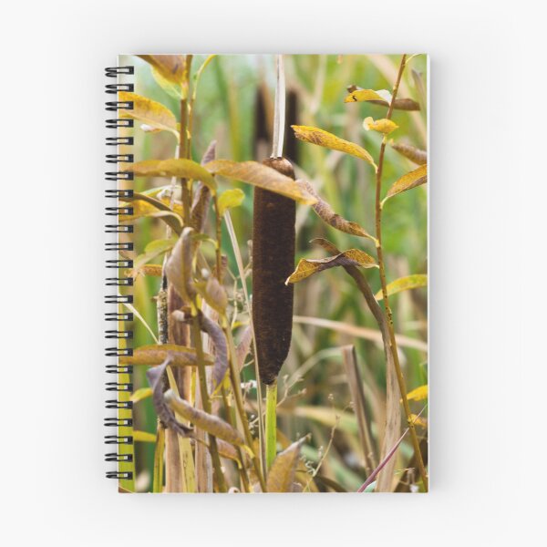 Item preview, Bulrush designed and sold by CanadianWild418.