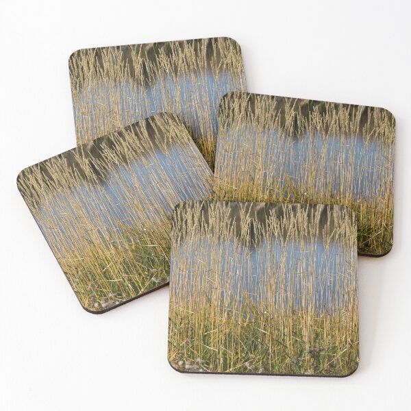 Item preview, Around the pond. designed and sold by CanadianWild418.