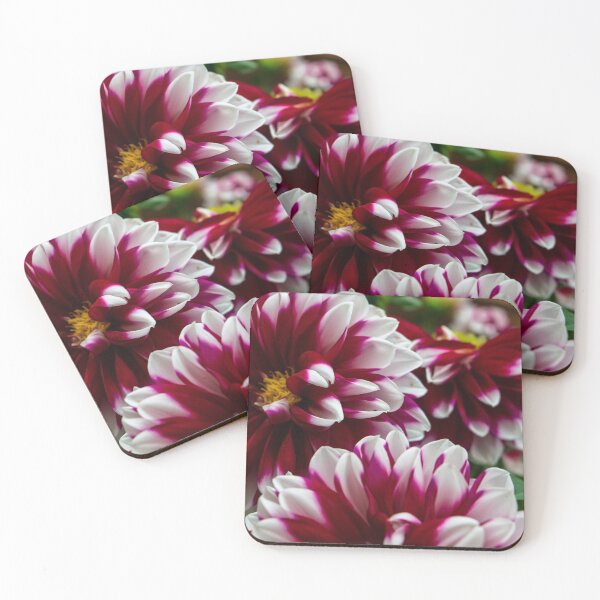 Item preview, Dahlia designed and sold by CanadianWild418.