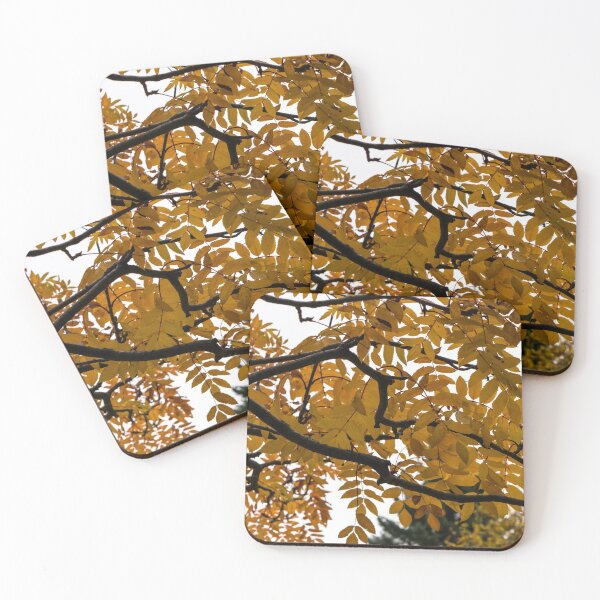 Item preview, Fall leaves designed and sold by CanadianWild418.