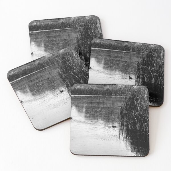 Item preview, Ducks on the pond in black and white. designed and sold by CanadianWild418.