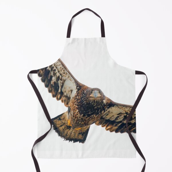 Item preview, Breathtaking Flyby of a Young Bald Eagle designed and sold by walkswithnature.