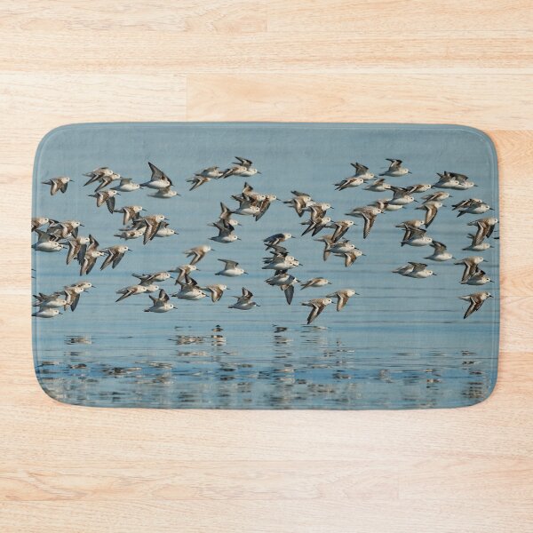 Item preview, Winter Flight of Sanderlings Sandpipers at the Beach designed and sold by walkswithnature.