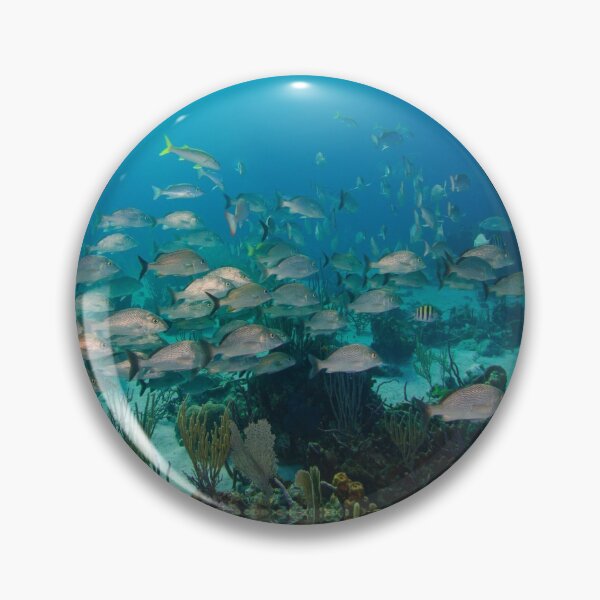 Item preview, School of Snapper on Shallow Coral Reef designed and sold by Caitlin Chock.