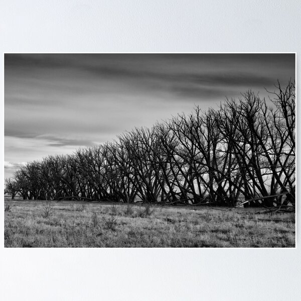 Item preview, Tree Line designed and sold by Gary Benson.