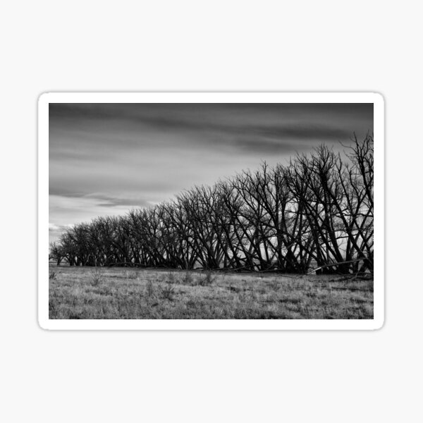 Item preview, Tree Line designed and sold by Gary Benson.