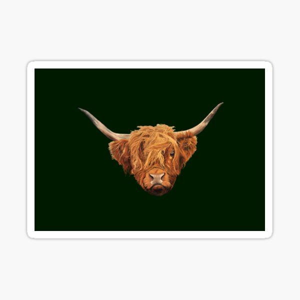 Highland Cow on Green - Artwork and Pattern Sticker