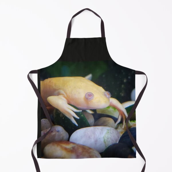 Item preview, African Clawed Frog designed and sold by Dead-Moroz.