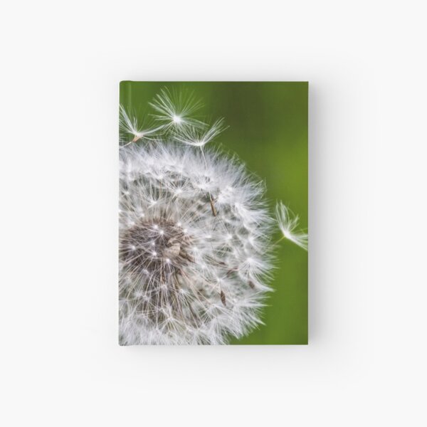 Pusteblume Notizbuch