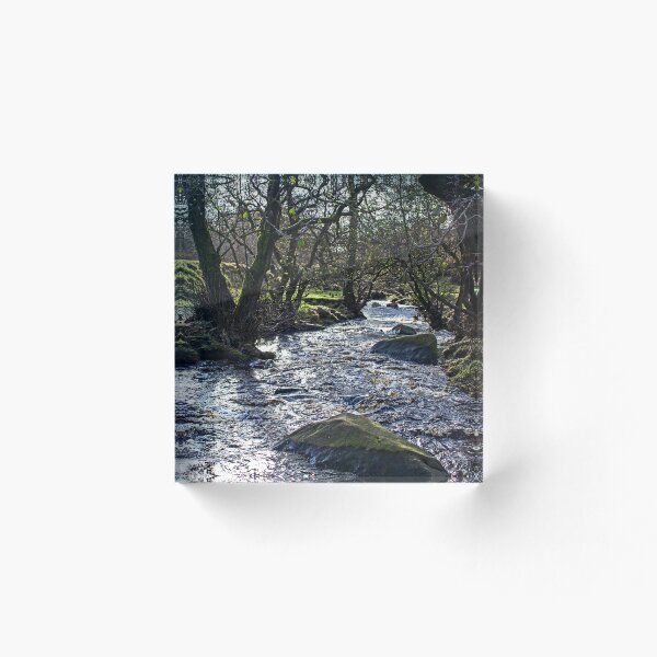 Aperçu de l'œuvre Burbage Brook, Padley Gorge, Peak District créée et vendue par HazelWright.