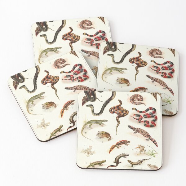 Adolphe Millot - Batraciens et reptiles - French vintage zoology poster Coasters (Set of 4)